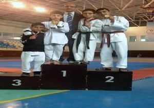 Aşkale'nin taekwondoda gururu oldular